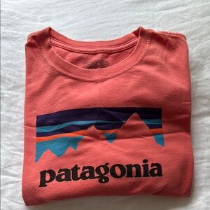 Patagonia Salmon Mountain Tee
